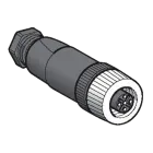 M12 plug